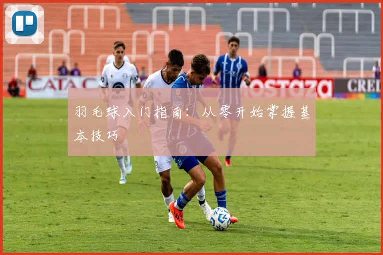 羽毛球入门指南：从零开始掌握基本技巧