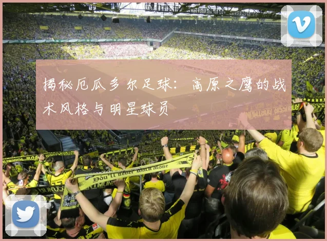 揭秘厄瓜多尔足球：高原之鹰的战术风格与明星球员